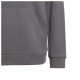 Adidas Παιδικό φούτερ Adicolor Trefoil Hoodie